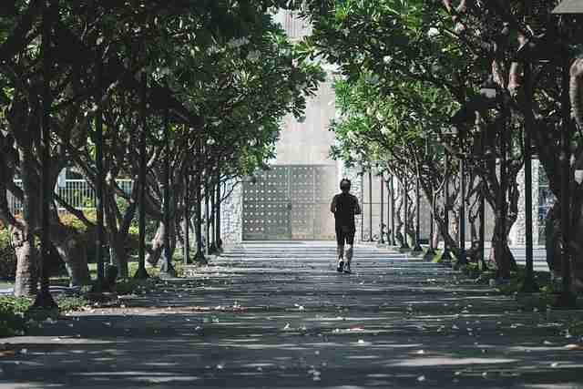 终极麻豆app官网用户画像深度观察·终极宝典，麻豆至尊