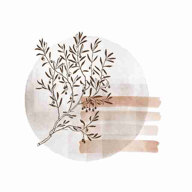 【蘑菇视频ios】先锋级格局变迁洞察 - 硬核干货，蘑菇视讯